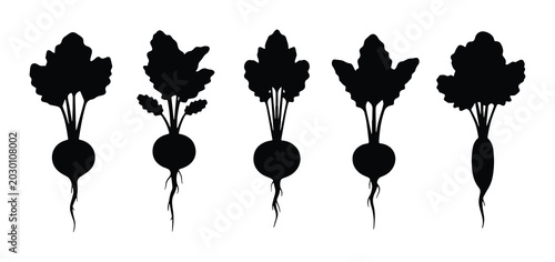 Schilderij op canvas Set of 5 different black silhouette beet vegetables with green leaves and roots