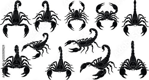 Foto Black Scorpion and Crab Silhouette Vector Set with Dangerous Arachnid Icons and
