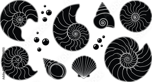 Foto Nautilus Shell and Ammonite Fossil Vector Silhouette Set with Marine Seashell Gr