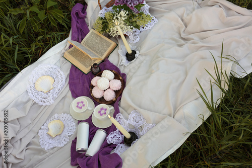 Overhead View of Outdoor Picnic with Book and Marshmallows