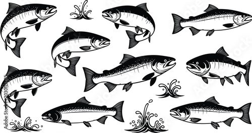 Salmon and Trout Fish Vector Illustration Set with Jumping Silhouette Graphics and Water Splash Elements for Fishing Logos
