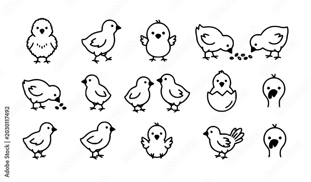 Fototapeta premium Turkey chick icon set vector outline baby poultry symbols isolated on white