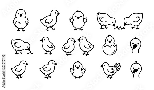 Tableau sur toile Turkey chick icon set vector outline baby poultry symbols isolated on white