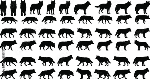 Quadro em tela Wolf Silhouette Collection with Standing Walking Running and Side View Wild Anim