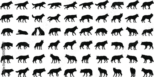 Fotografia Wolf Silhouette Collection with Walking Running Sitting and Howling Wild Animal
