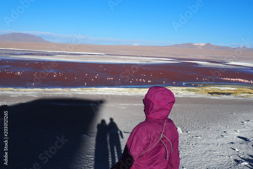 Traveler wearing a hooded jacket looks at the spectacular Laguna Colorada red lagoon with flamingos, enjoying a scenic adventure travel journey in the high altitude Bolivia Altiplano desert.