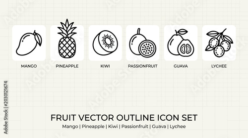 Fruit Vector Outline Icons Set of Tropical Fruits Mango and Lychee