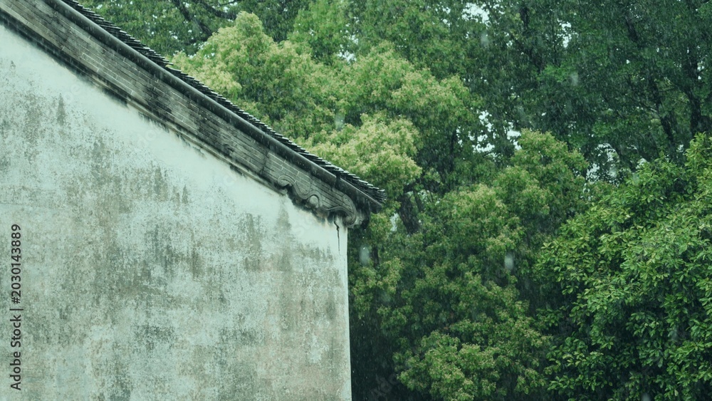 Fototapeta premium Rain falling on a weathered white wall with lush green trees in the background
