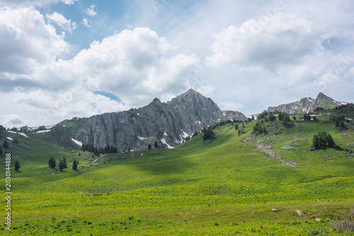 Grassy meadow and conifer trees on green hills against high rock mountain wal...
