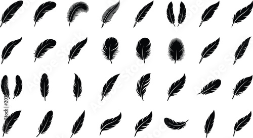 Foto Big collection of feather black silhouettes isolated on white background includi