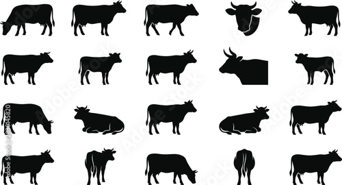 Cow and bull black silhouette icons collection set featuring dairy cattle livestock in various poses grazing standing and lying down isolated on white background