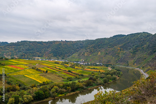 Autumn Moselle River Bend with Colorful Fields and Vineyards