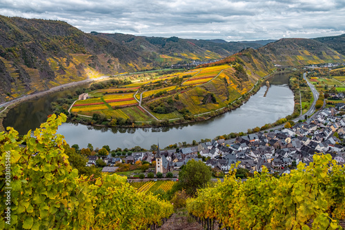 Autumn Moselle River Bend with Colorful Fields and Vineyards