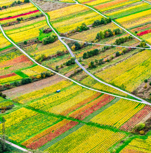Autumn Moselle River Bend with Colorful Fields and Vineyards