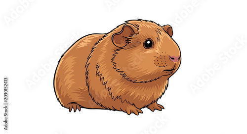 фотографія Cute brown guinea pig sitting.