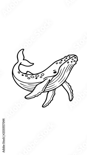 whale
