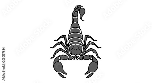 Bild auf Leinwand A vector illustration of a black and grey scorpion from a top-down view, featuring a bold line art logo style isolated on a white background