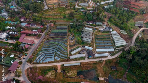 Fotografie Aerial drone view capturing greenhouses, farming plots, and terraced fields in m