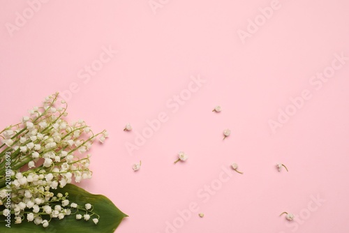 Bild auf Leinwand Fresh lily-of-the-valley flowers with green leaves and buds on pink background, flat lay