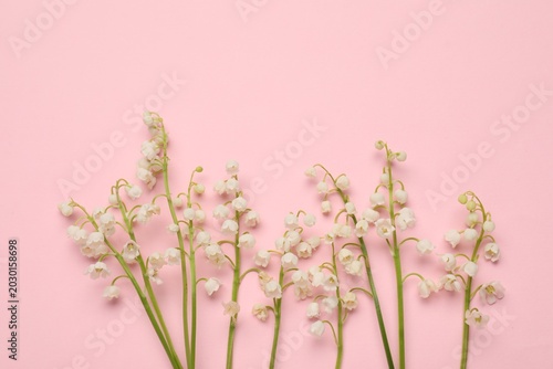 Bild auf Leinwand Fresh lily-of-the-valley flowers on pink background, flat lay