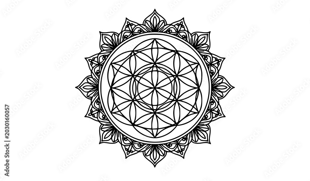 Fototapeta premium Geometric Sacred Flower of Life Black Line Art Mandala Vector Ornament Isolated on White