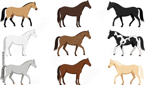 Quadro su tela Flat Style Horse Collection Set Featuring Different Coat Colors Including Black,