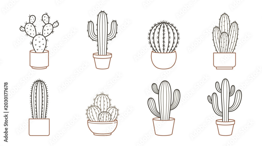 Fototapeta premium A collection of various cactus plants.