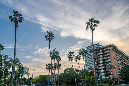 coconut grove, miami