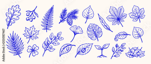 Quadro su tela Botanical Sketch Collection: An artistic compilation of hand-drawn botanical elements, featuring a variety of leaves, pinecones, and a seedling
