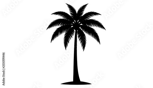 A simple, symmetrical silhouette of a palm tree, featuring a textured crown and a long, slender trunk on a stark white background