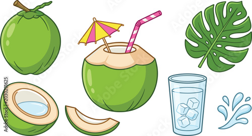 Cute Cartoon Tropical Green Coconut Drink Element Set with Monstera Leaf Ice Glass Water Splash Straw Umbrella Vector Illustration