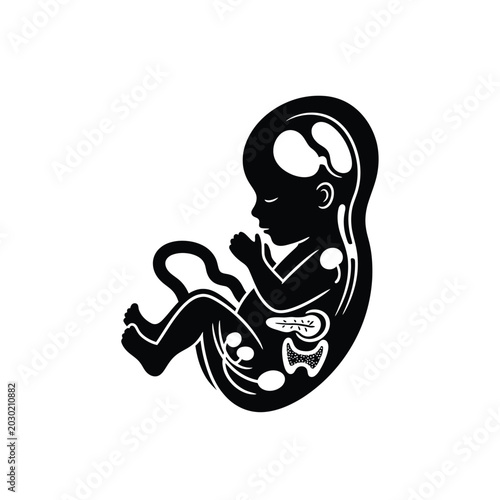Fotografia Black silhouette of human fetus.