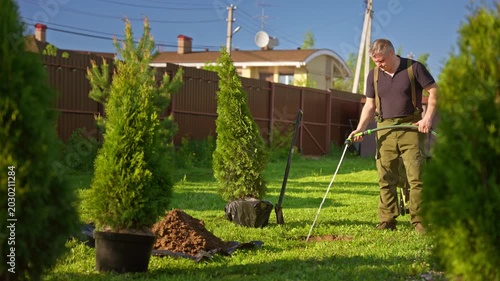 Mature male gardener watering a hole in the ground with a hosepipe before planting a thuja seedling in his backyard. Professional landscaper working on a sunny day in the garden