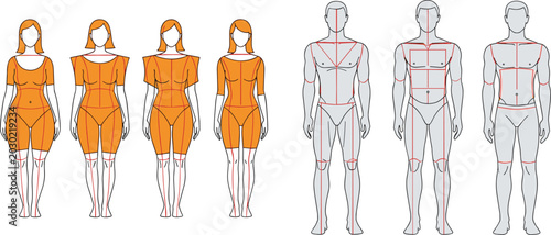 Cuadro en lienzo Female and Male Body Measurement Guide Vector Illustration for Fashion Design Ta