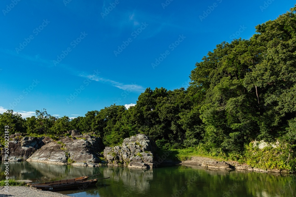 Fototapeta premium 新緑の木々と透き通った川が流れる美しい自然風景 