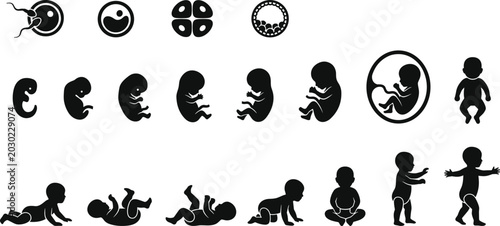 Obraz na płótnie Human life cycle stages silhouette icons from fertilization to childhood