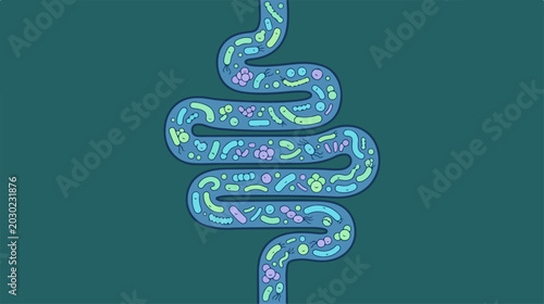 Illustration of human intestinal tract with gut microbiome bacteria.