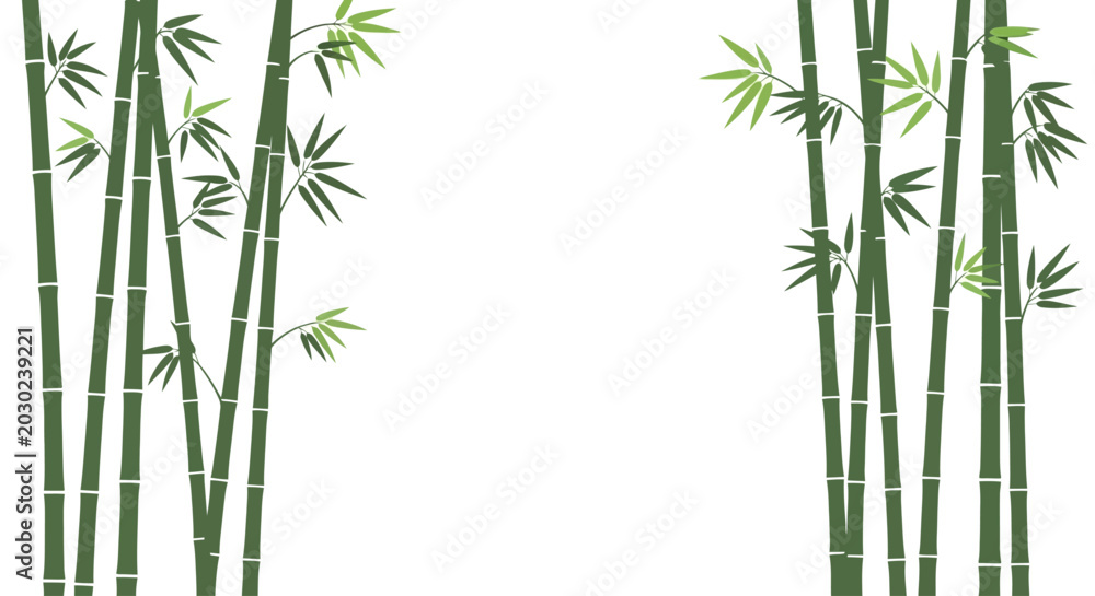 Naklejka premium Bamboo plants vector illustration