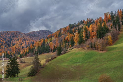 Fotografie The historic alpine church of San Vito in the Braies valley, Dolomites, Italy