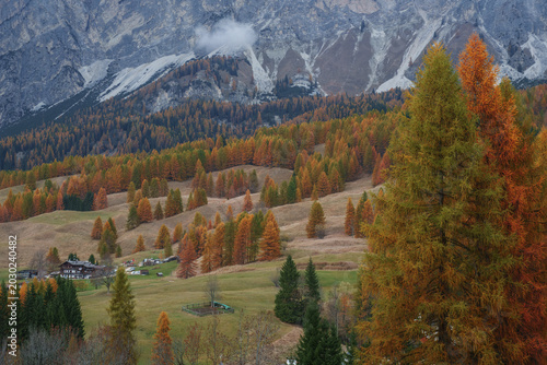 фотографія Seasonal autumnal scenery in Dolomite Alps, Cortina d'Ampezzo, Italy