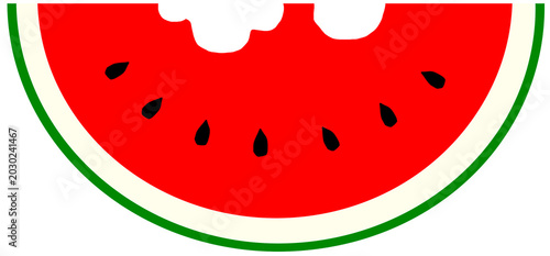 watermelon vector illustration