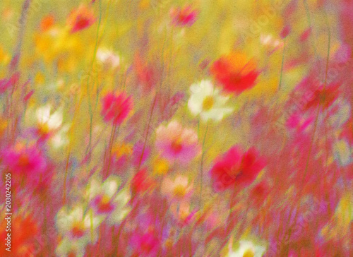Photography Blurry Floral Background – Dreamy Abstract Flower Texture