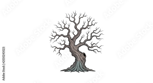 Bild auf Leinwand Illustration of a bare tree with sprawling branches and a thick trunk against a clean white background