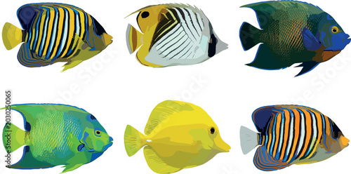 Quadro su tela Colorful Tropical Reef Fish Set with Exotic Angelfish, Butterflyfish, and Tang