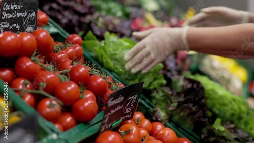 tomatoes in the market