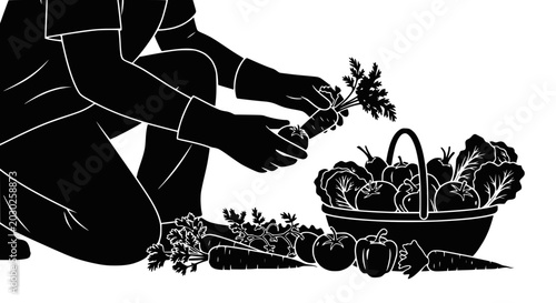 Fotografie Gardener Harvesting Fresh Organic Vegetables from Garden Basket