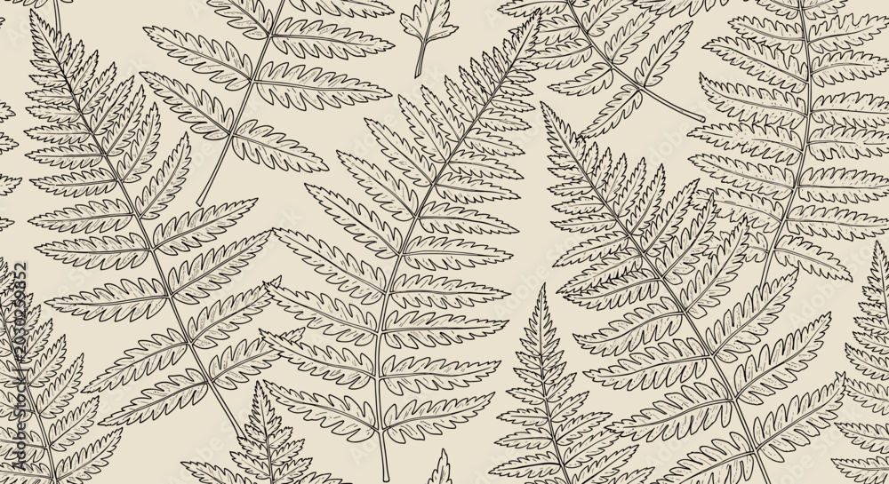 Obraz premium Fern