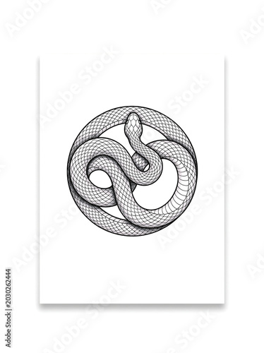 Minimalist_image_of_a_snake