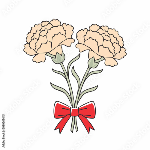 Two Peach Carnations with Red Bow