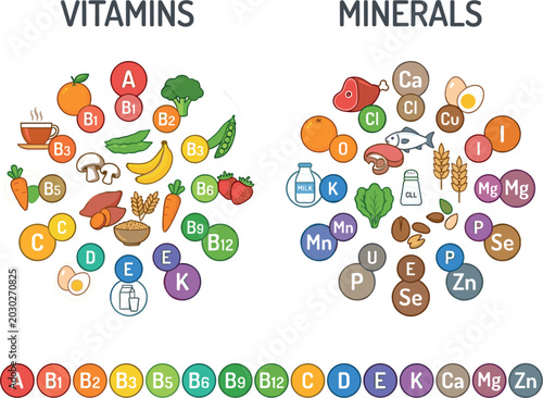 Konstfotografi Educational Vector Illustration of Vitamins and Minerals with Foods and Nutrient